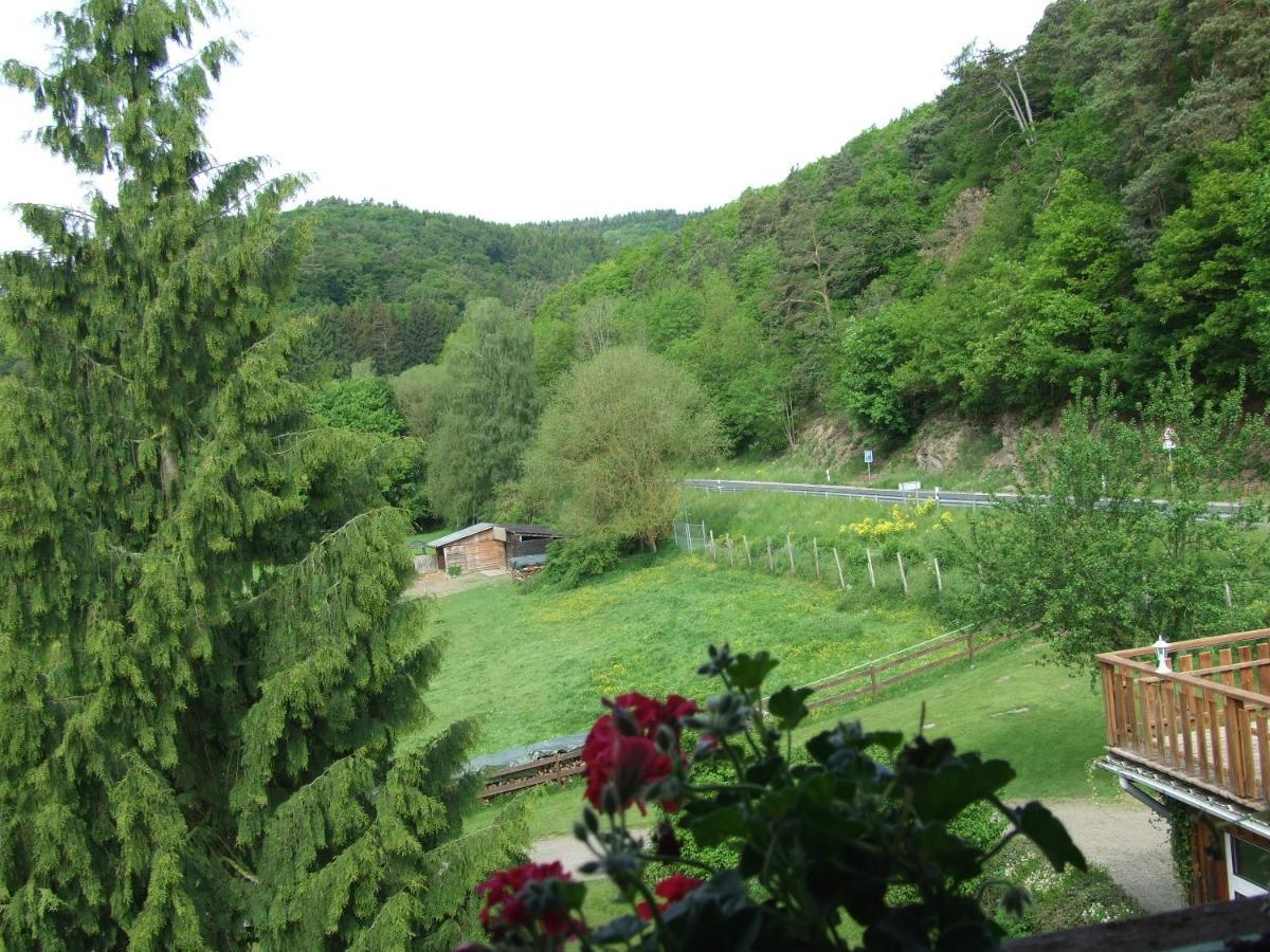 Volkesfeld Hotel Forsthaus מראה חיצוני תמונה