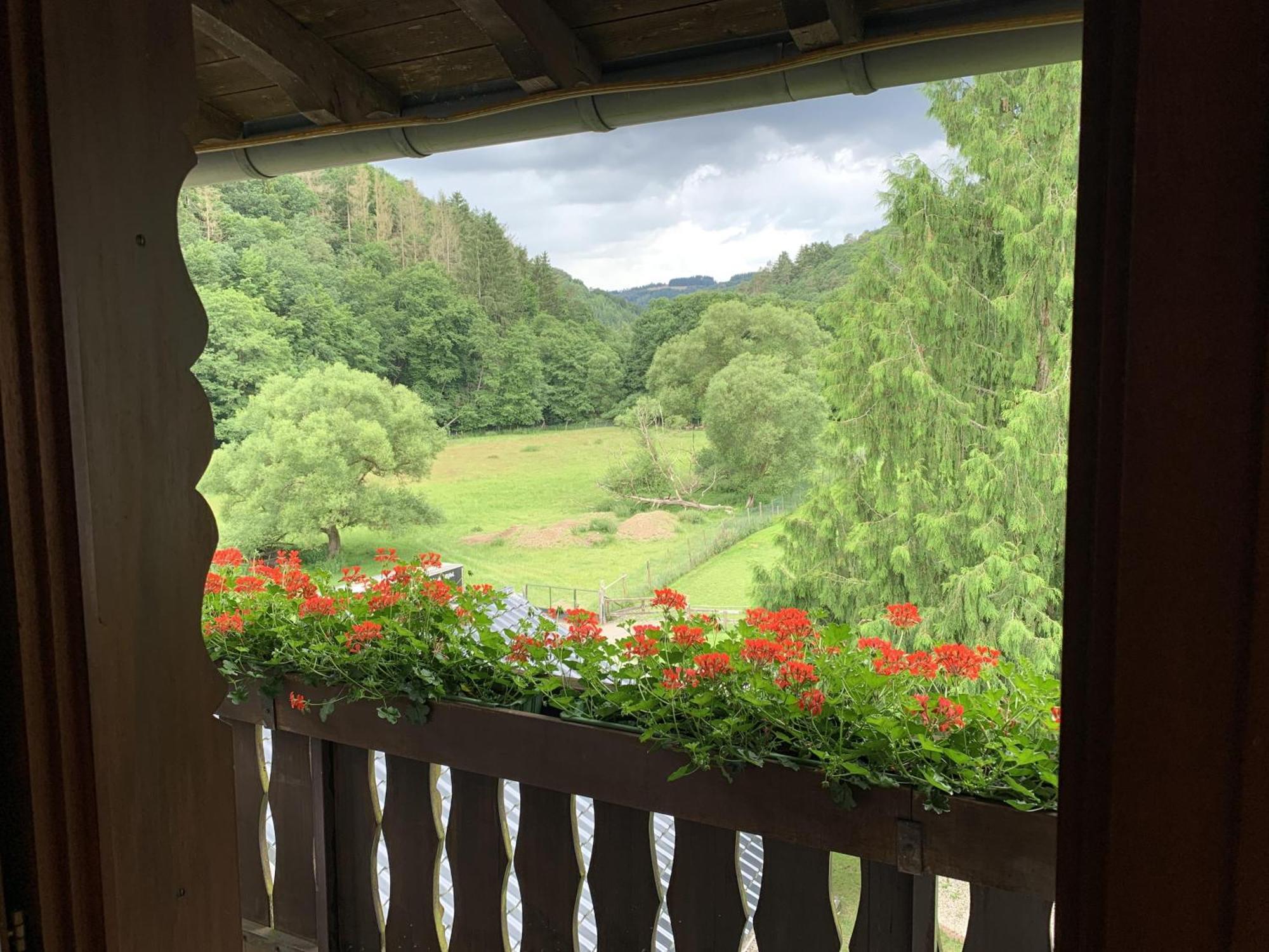 Volkesfeld Hotel Forsthaus חדר תמונה
