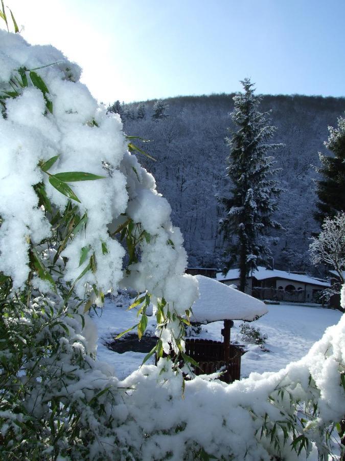 Volkesfeld Hotel Forsthaus מראה חיצוני תמונה
